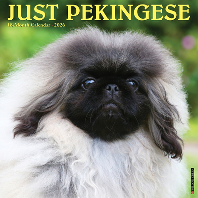 Pekingese 2026 12 X 12 Wall Calendar -