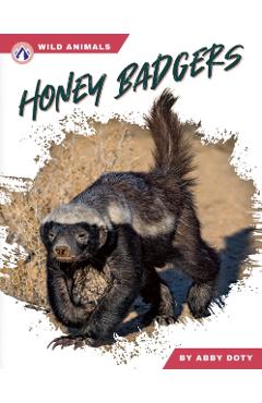 Coperta cărții 'Honey Badgers - Dalton Rains'