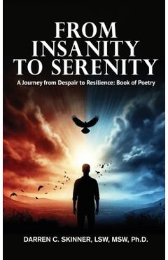 From Insanity to Serenity: A Journey from Despair to Resilience - Lsw Msw Darren C. Skinner