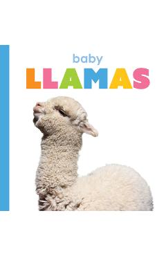 Coperta cărții 'Baby Llamas - Kim Thompson'