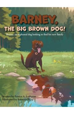 Coperta cărții 'Barney, The Big Brown Dog!: Barney, an orphaned dog looking to find his new family - Patrice A. Lemoine'