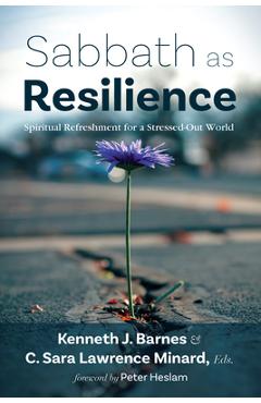 Coperta cărții 'Sabbath as Resilience: Spiritual Refreshment for a Stressed-Out World - Kenneth J. Barnes'