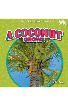 Coperta cărții 'A Coconut Grows - Rex Ruby'