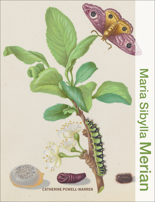 Maria Sibylla Merian - Catherine Powell-warren