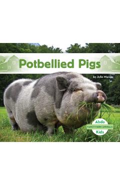 Potbellied Pigs - Julie Murray