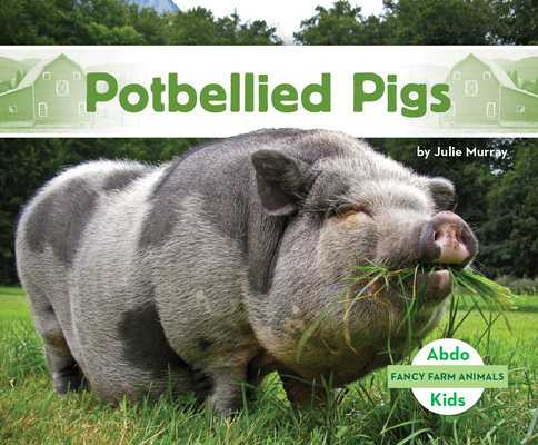 Potbellied Pigs - Julie Murray