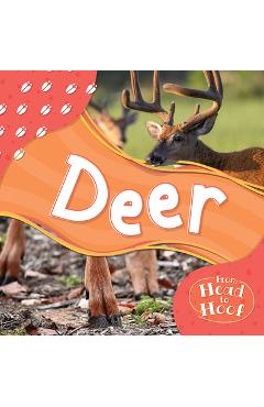 Coperta cărții 'Deer - Alex Hall'