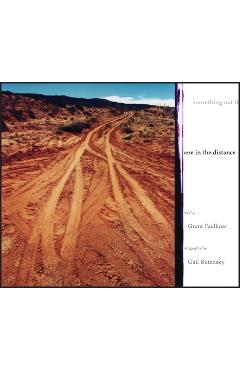 Coperta cărții 'Something Out There in the Distance - Grant Faulkner'