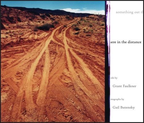 Something Out There in the Distance - Grant Faulkner