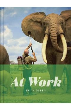 Coperta cărții 'At Work - Brian Doben'