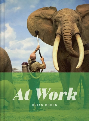 Coperta cărții 'At Work - Brian Doben'