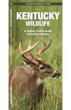 Poza produsului Kentucky Wildlife: A Folding Pocket Guide to Familiar Animals - James Kavanagh