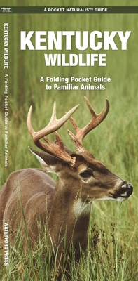 Kentucky Wildlife: A Folding Pocket Guide to Familiar Animals - James Kavanagh
