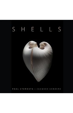 Coperta cărții 'Shells - Paolo Portoghesi'