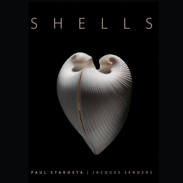 Shells - Paolo Portoghesi