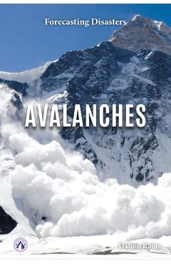 Poza produsului Avalanches - Dalton Rains