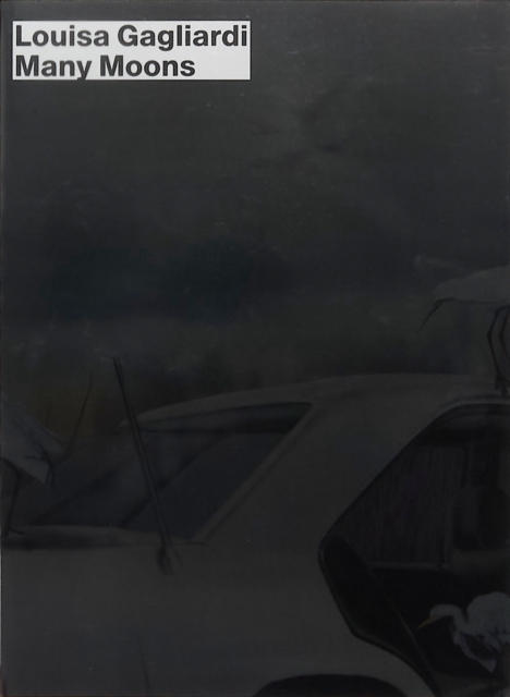 Louisa Gagliardi: Many Moons - Louisa Gagliardi