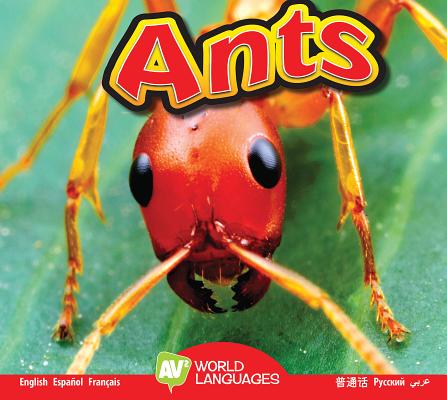 Ants - Aaron Carr