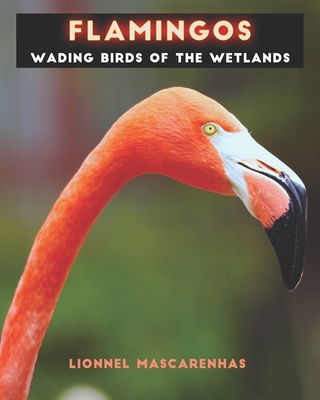 Flamingos: Wading birds of the wetlands - Lionnel Mascarenhas
