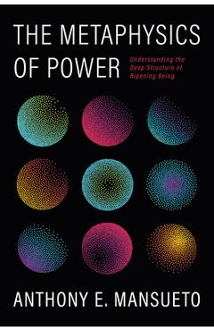 Coperta cărții 'The Metaphysics of Power - Anthony E. Mansueto'