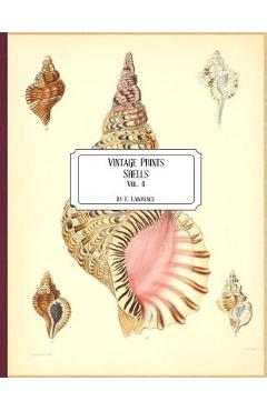 Coperta cărții 'Vintage Prints: Shells: Vol. 4 - E. Lawrence'