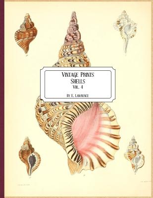 Coperta cărții 'Vintage Prints: Shells: Vol. 4 - E. Lawrence'