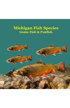 Coperta cărții 'Michigan Game Fish and Panfish Species Kids Book: Great Book About the Different Types of Fish in Michigan - Kinsey'