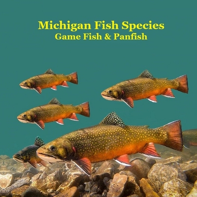 Coperta cărții 'Michigan Game Fish and Panfish Species Kids Book: Great Book About the Different Types of Fish in Michigan - Kinsey'