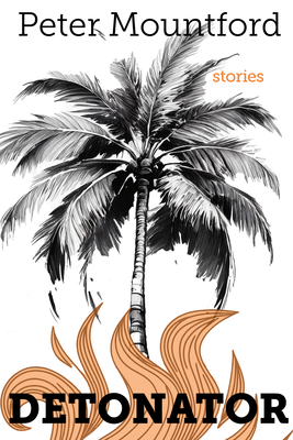 Detonator: Stories - Peter Mountford