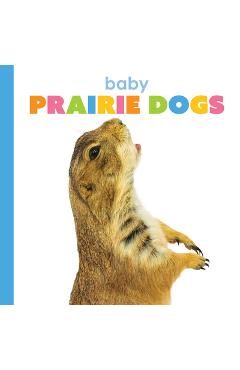 Poza produsului Baby Prairie Dogs - Kim Thompson