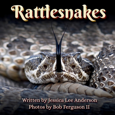 Coperta cărții 'Rattlesnakes - Jessica Lee Anderson'
