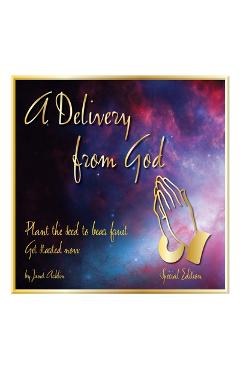 A Delivery from God: Plan the Seed to Bear Fruit Get Started Now - Special Edition - Janet Acklin