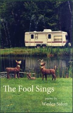 Coperta cărții 'The Fool Sings - Sidon Weslea'