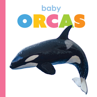 Baby Orcas - Kim Thompson