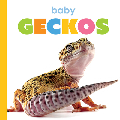 Baby Geckos - Kim Thompson