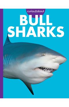 Coperta cărții 'Curious about Bull Sharks - Emma Alice Johnson'