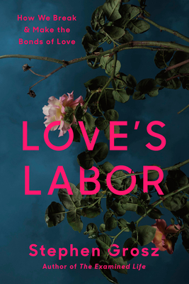 Love's Labor: How We Break and Make the Bonds of Love - Stephen Grosz