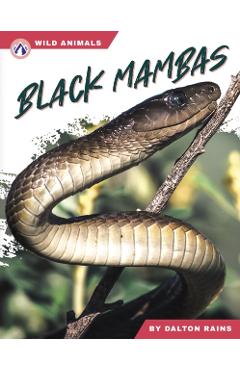 Coperta cărții 'Black Mambas - Dalton Rains'