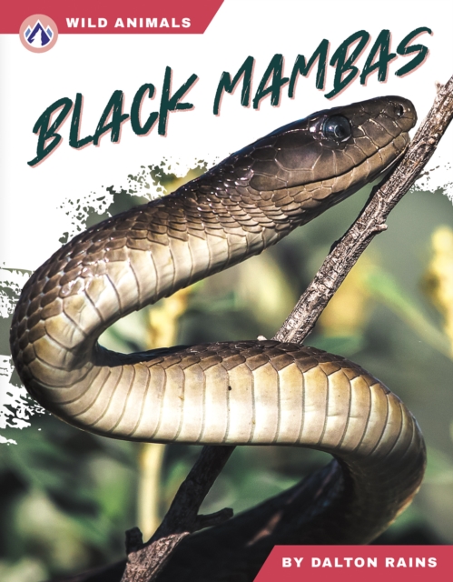Black Mambas - Dalton Rains