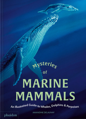 Mysteries of Marine Mammals: An Illustrated Guide to Whales, Dolphins, and Porpoises - Amandine Delaunay