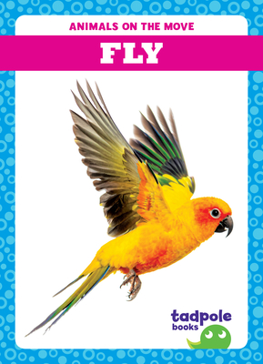 Fly - Jenna Lee Gleisner