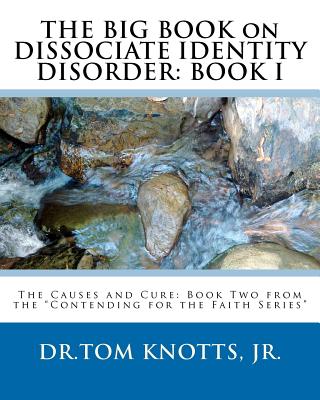 Coperta cărții 'THE BIG BOOK on DISSOCIATE IDENTITY DISORDER: The Causes and Cure: Book Two from the 