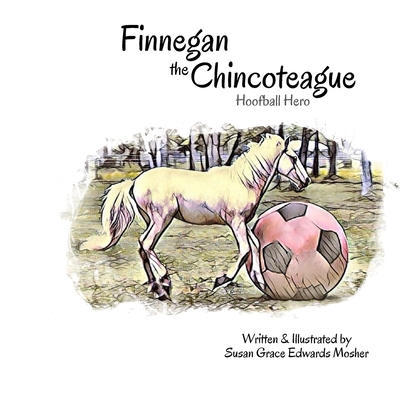 Coperta cărții 'Finnegan the Chincoteague: Hoofball Hero - Susan Grace Edwards Mosher'