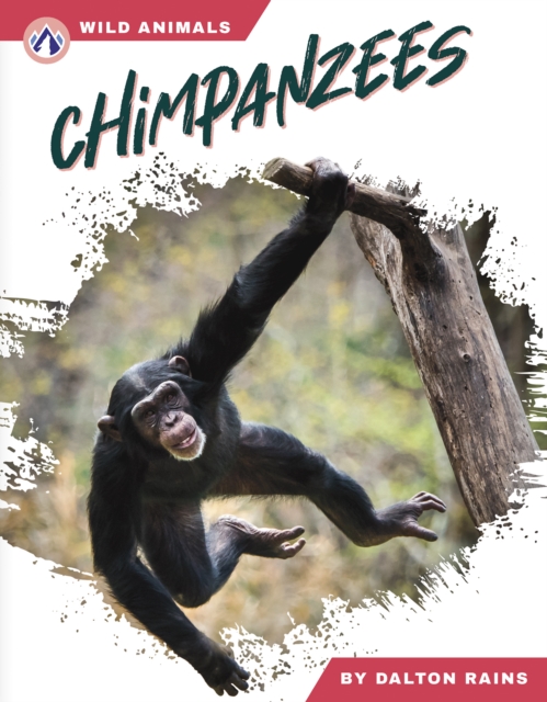 Chimpanzees - Dalton Rains