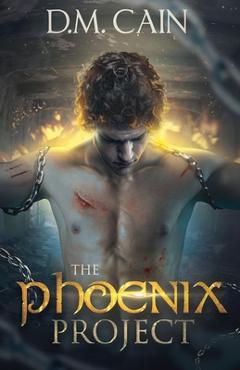 Coperta cărții 'The Phoenix Project - D. M. Cain'