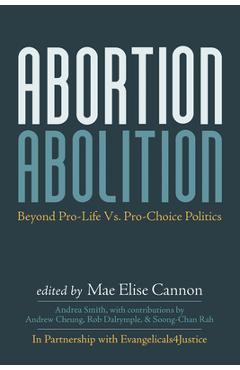 Coperta cărții 'Abortion Abolition: Beyond Pro-Life vs. Pro-Choice Politics - Andrea Smith'
