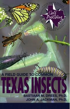 Poza produsului A Field Guide to Common Texas Insects - Bastiaan M. Drees