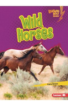 Coperta cărții 'Wild Horses - Cara Krenn'