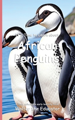 It's Time to Learn about African Penguins - 