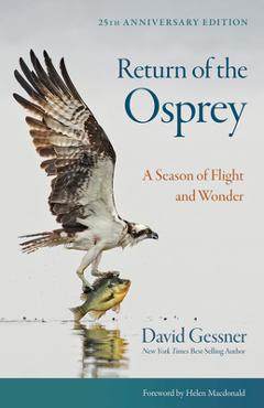 Coperta cărții 'Return of the Osprey: A Season of Flight and Wonder - David Gessner'